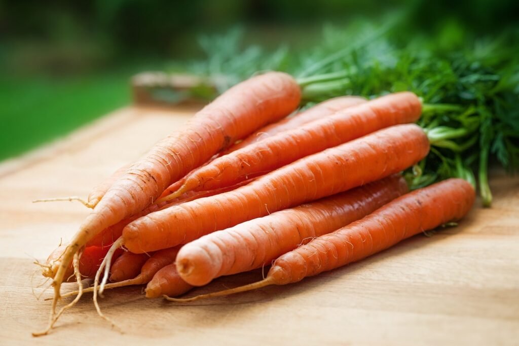 Carottes pour les fibres