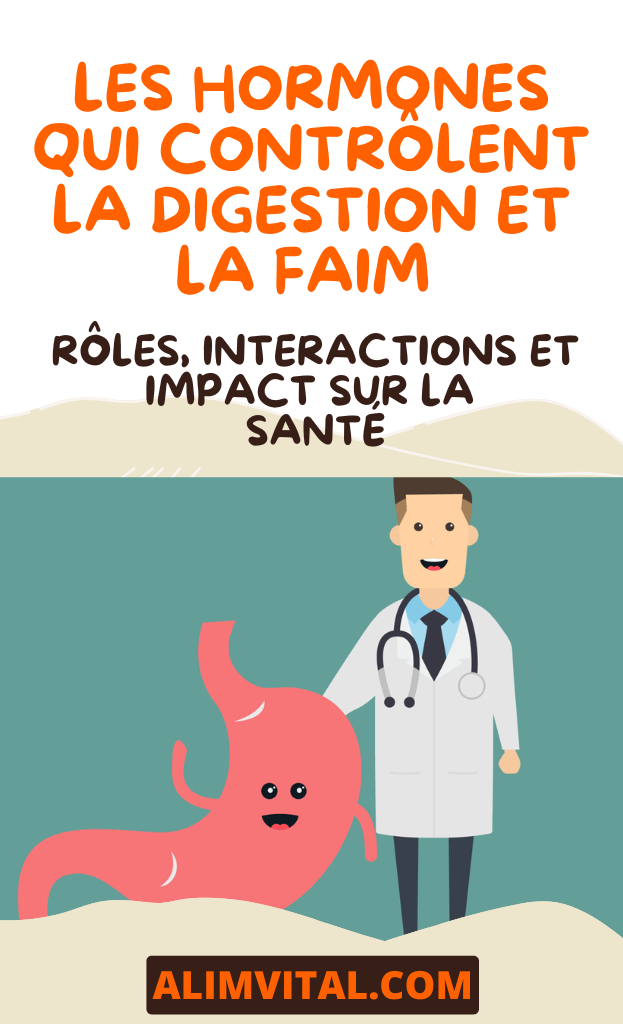 Les Hormones qui Contrôlent la Digestion et la Faim