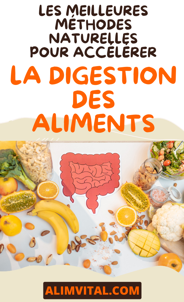 Accélérer la digestion des aliments