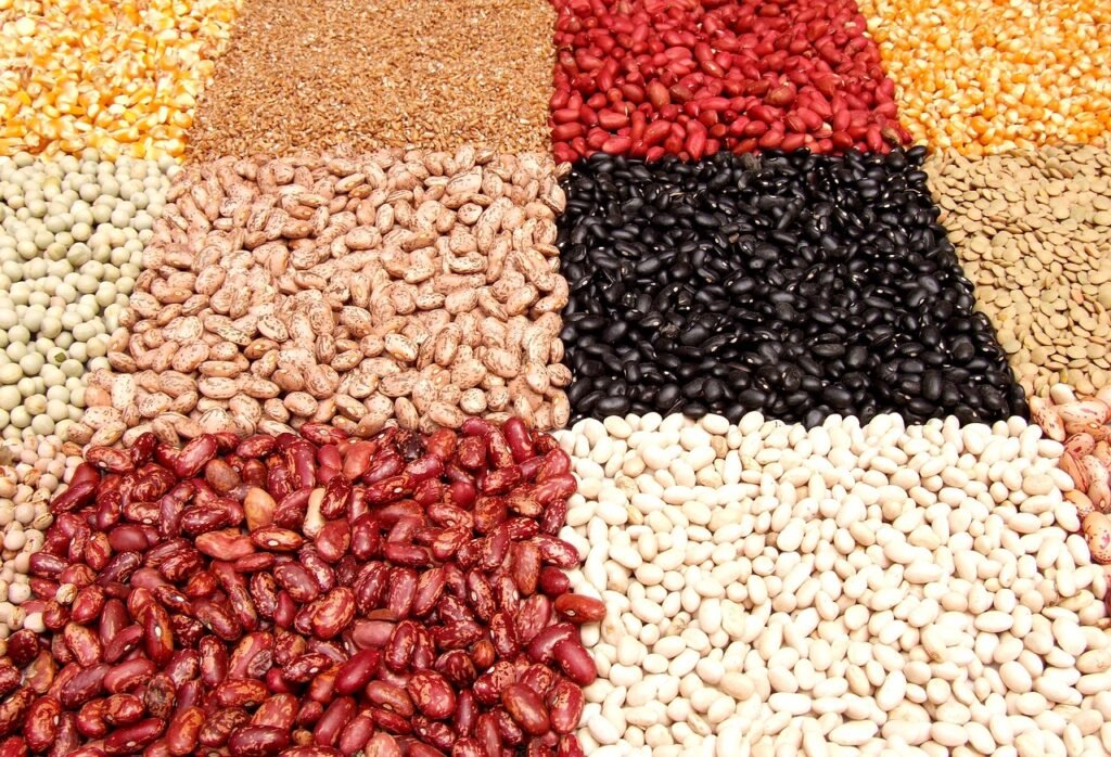 aliments anti-cholestérol Légumineuses
