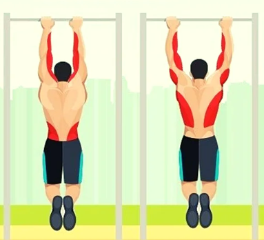 Tractions en prise pronation et supination
