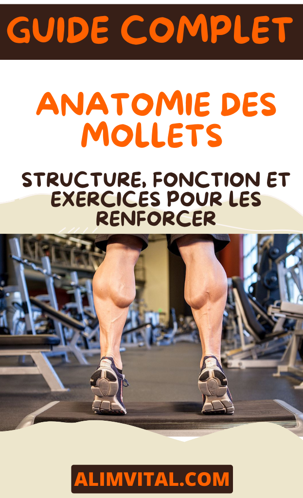 exercice Mollets